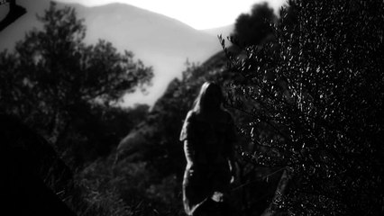 Zeynep Casalini - Unutsam