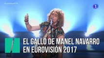 El gallo de Manel en eurovisión 2017