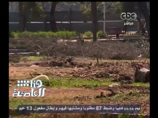 #هنا_العاصمة | مذبحة أشجار حديقة الميريلاند