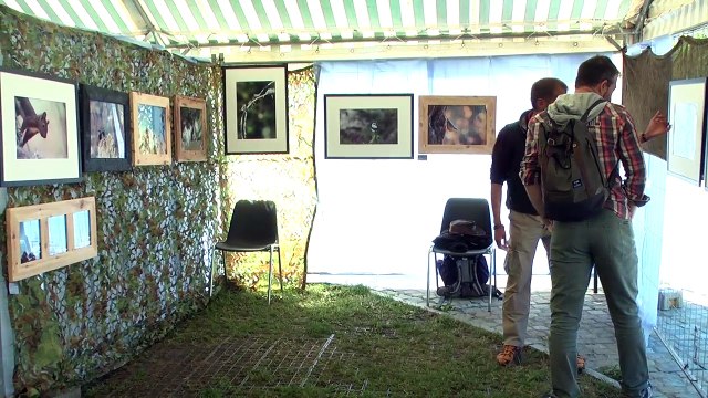 Hautes-Alpes : La photographie nature en faveur de la protection des animaux sauvages et de l'environnement à Crots