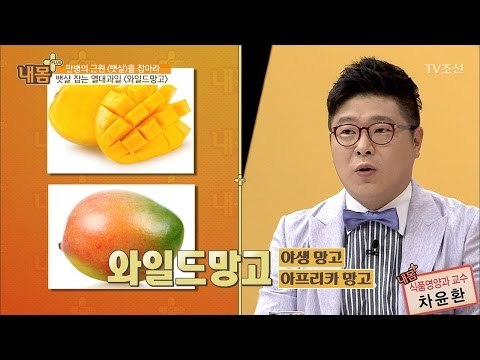 다이어트에 특효 ‘와일드 망고’에 대해 알아보자! [내 몸 플러스] 58회 20170514