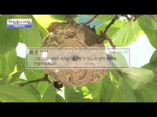 홈쇼핑서 '인기' 국산 코트, 알고 보니 중국산 [광화문의 아침] 136회 20151218