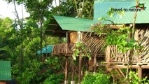 Costa Rica for family - Familienreise mit travel-to-nature-bVT2tsJOVeY