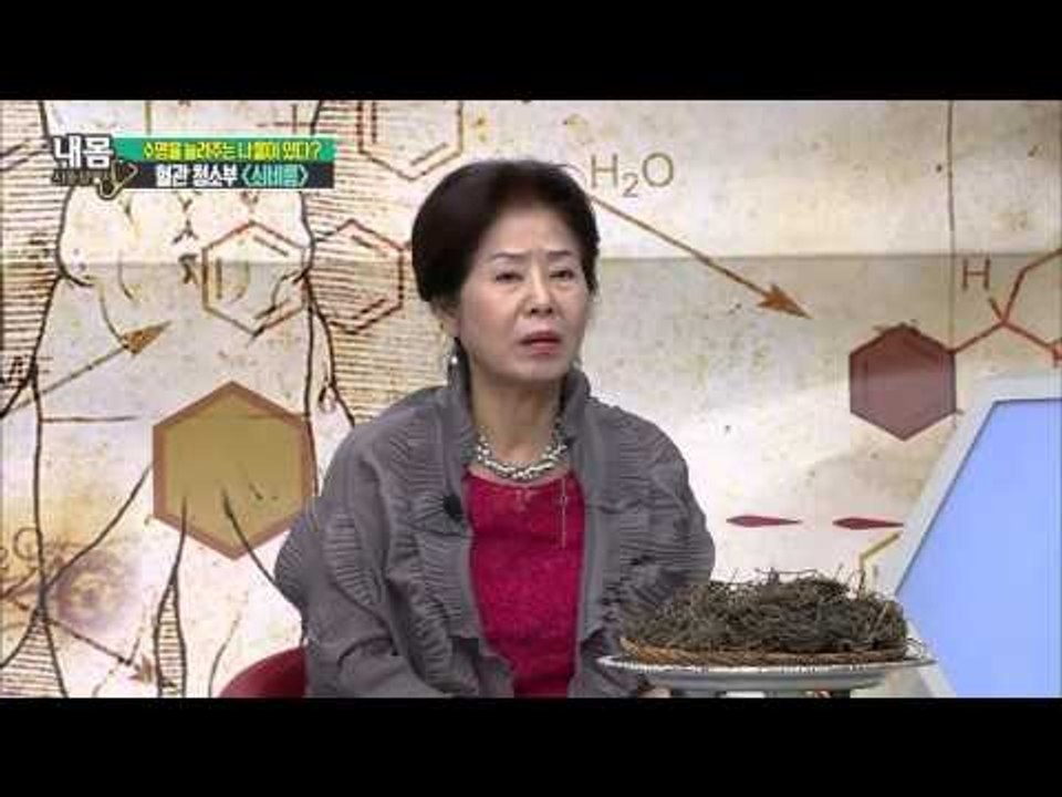 혈관 청소부 쇠비름  [내 몸 사용 설명서] 80회 20151211