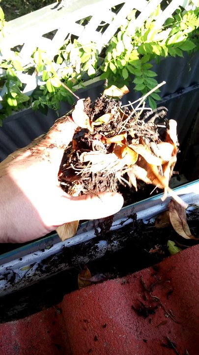 Cleaning Out Gutters | Gutter Cleaning Adelaide | Gutter Guys Adelaide | Best Gutter Cleaners