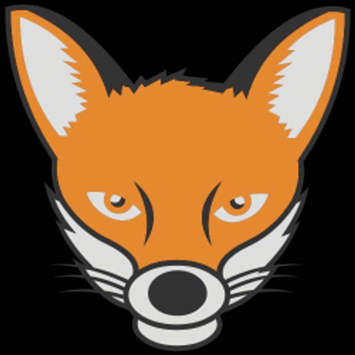 MON INTRO AVEC MA MASCOTTE