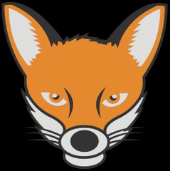 MON INTRO AVEC MA MASCOTTE