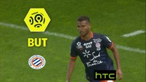 But Steve MOUNIE (35ème) / Montpellier Hérault SC - Olympique Lyonnais - (1-3) - (MHSC-OL) / 2016-17