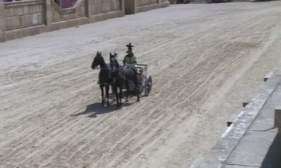 Uji Kecepatan Mobil Ferrari dan 2 Ekor Kuda