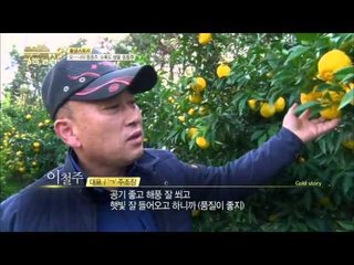 소록도 명물 동동주  [황금열쇠] 1회 20151205