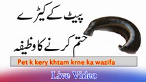 Peat k Kery Khtam Krene Ka Asan Wazifa in Urdu | Peat K imraz se Nijat K liy Wazifa in Urdu | Kamran Sultan