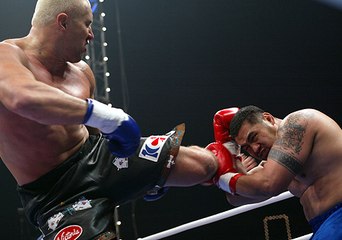 Mark Hunt vs. Jerome Le Banner