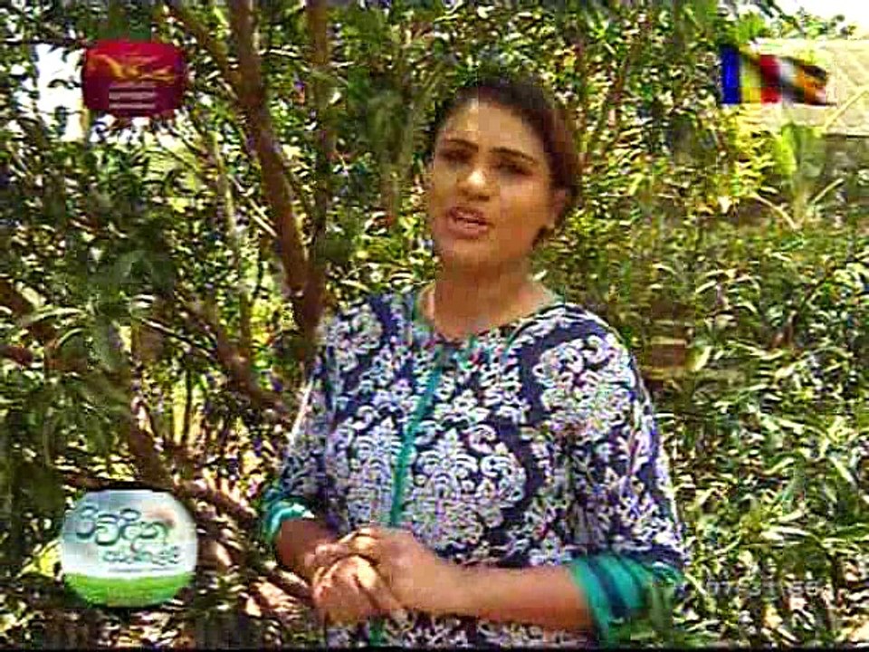 Arunalla-2017-05-14