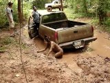HOT CHICK FALLS IN MUD WHILE PULLING OUT CHEVY 4X4 MUD TRUCK FAIL - Red River Mud Bog