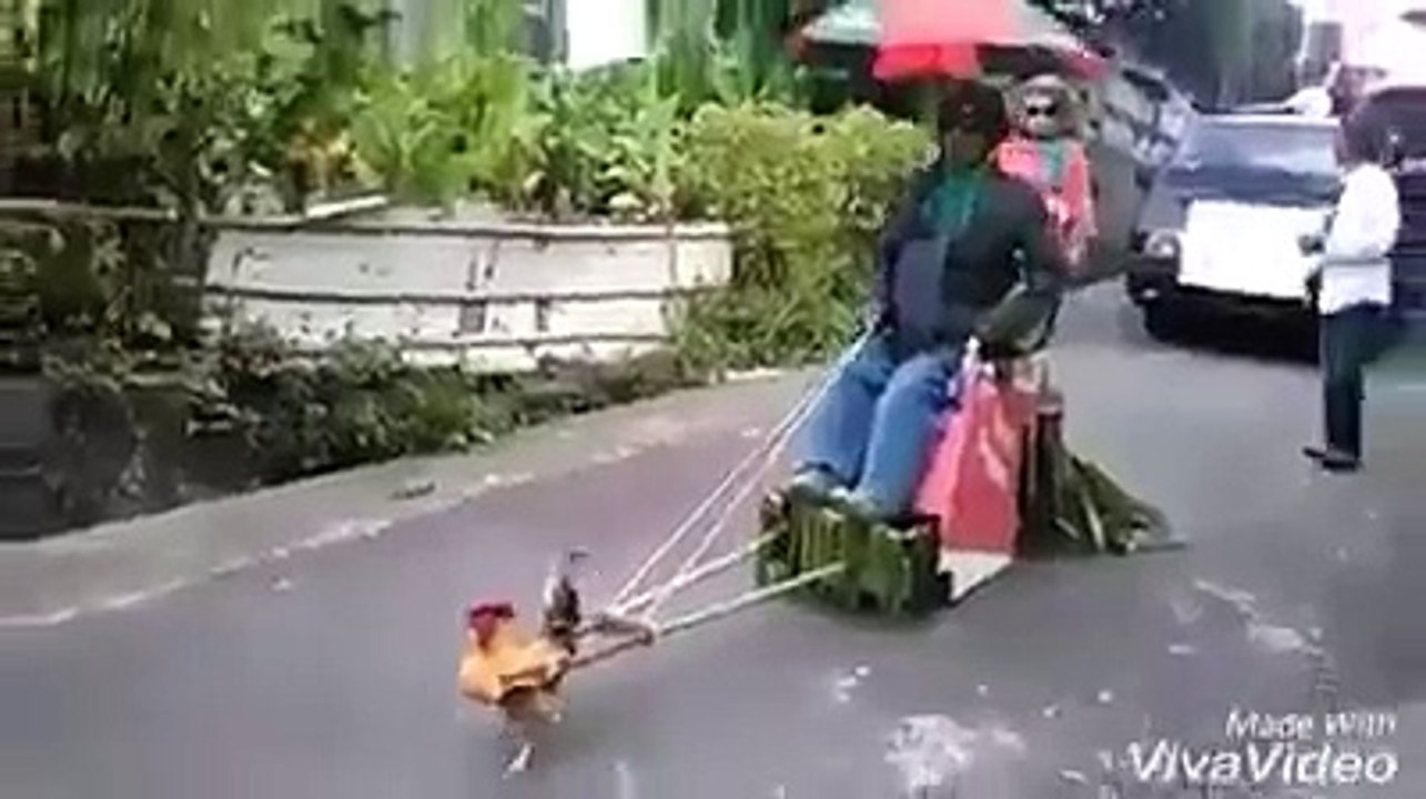 Funny video 2016(3)