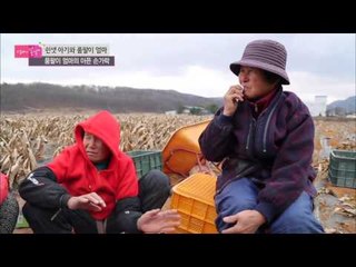 품팔이 엄마의 굽은 허리 [엄마의 봄날] 23회 20151214