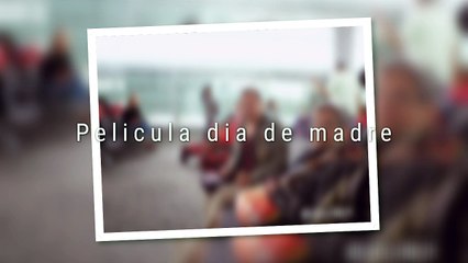 Dia De Madre Fotos 2