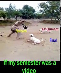 Funny video for Semester Students Hahahahaha
