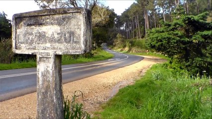 Audi A3 3.2 V6 Quattro D º carro