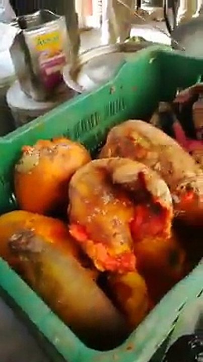 zehar khila rahe
