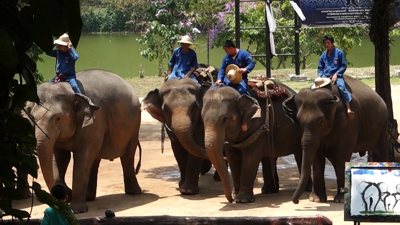 Hôpital des éléphants de Lampang