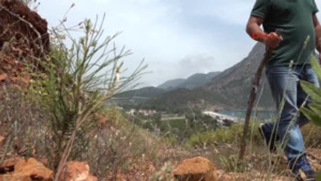 Antalya Turizm Cenneti Adrasan Yeniden Yeşile Döndü