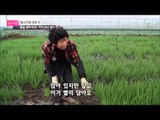 여자이기 때문에 일하는 엄마 [엄마의 봄날] 22회 20151207