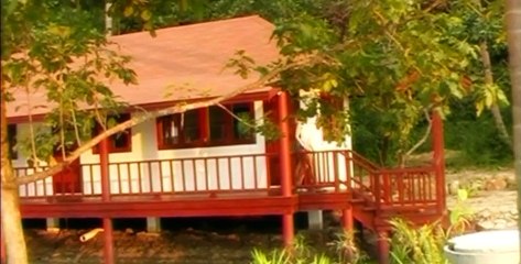 Reflex - Падали звезды