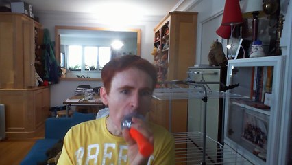 Wiwi égratigne "no monkey" de Wally Warning