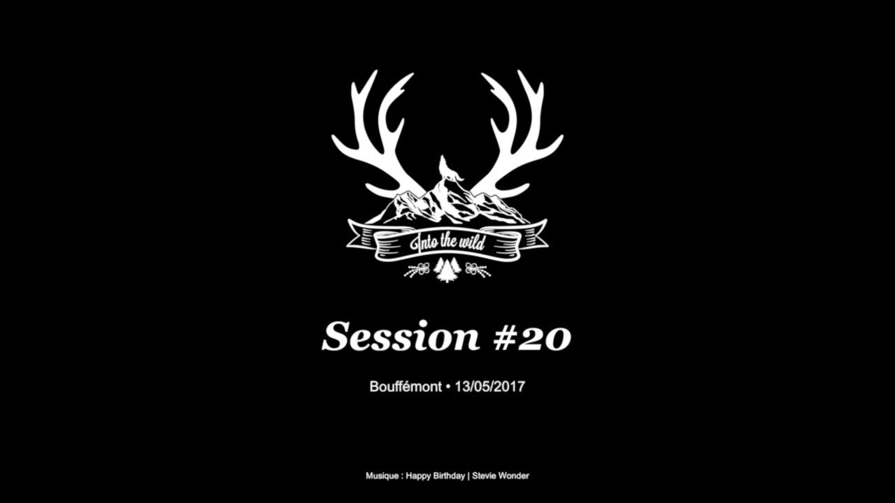 Into The Wild #20