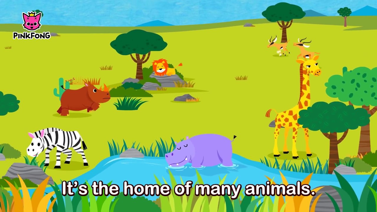 This Is the Savanna _ Animal Songs _ Songs for Children