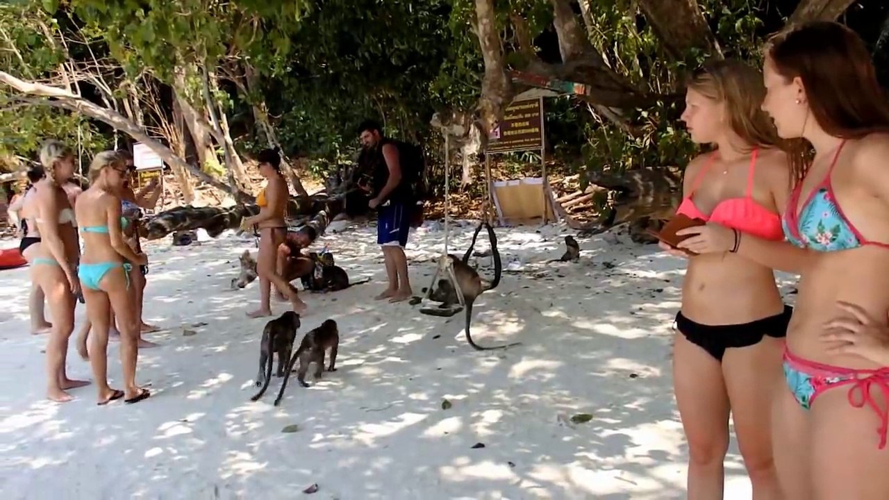 Monkey Beach Phi Phi Island Thailand March 2016
