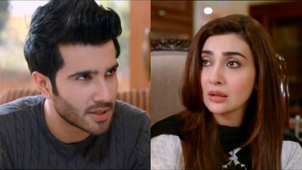 Woh Aik Pal Episode 10 Full on Hum Tv