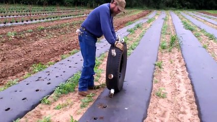Çiftçi Uğraşmamak İçin Bu Yöntemi Bulmuş