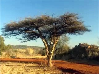 Le meurtre était presque parfait