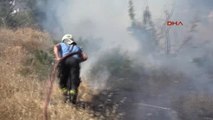 Bodrum Ellerin Arasındaki Yangın Korkuttu