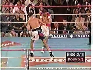 Oscar De La Hoya vs Julio Cesar Chavez by MMA BOXING MUAY THAI 1996 06 07