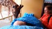 La façon dont cette girafe dit adieu à son soigneur atteint d’un cancer va vous fendre le coeur!