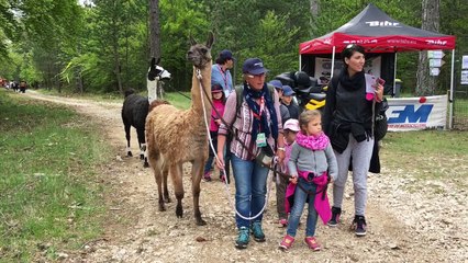 Au Mont Ventoux, c'était la fête de la forêt