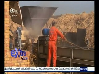 غرفة الأخبار | مصنع بسوهاج ينتج الأخشاب من مخلفات الذرة