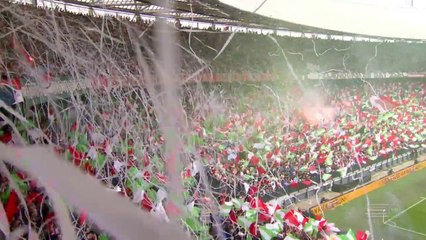 Feyenoord 3-1 Heracles  - Highlights - Eredivisie - 14.05.2017 [HD]