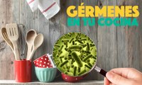 5 Objetos de la cocina INFESTADOS de gérmenes