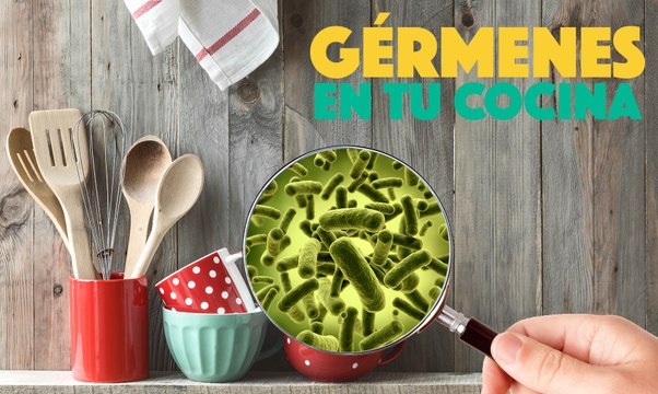 5 Objetos de la cocina INFESTADOS de gérmenes