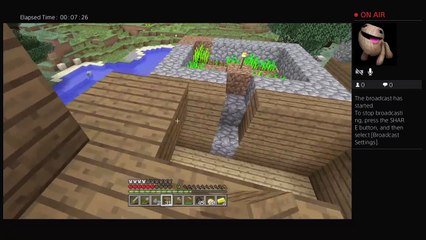 Minecraft Part3 (10)