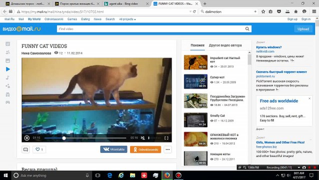 descargar videos un cluyendo paginas porno