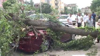 Tokat'ta Şiddetli Rüzgar