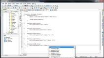 CodeIgniter - MySQL Database - Deleting Values (Part 11_11asd) | PHP Tutotirals For Beginners