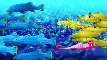 Prenses Sofia ile Müzikli Anlar Merroway Koyu