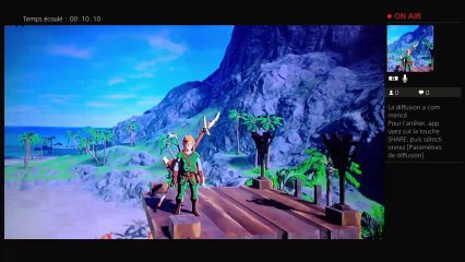 The Legend Of Zelda Breath of the Wild Wii u (6)