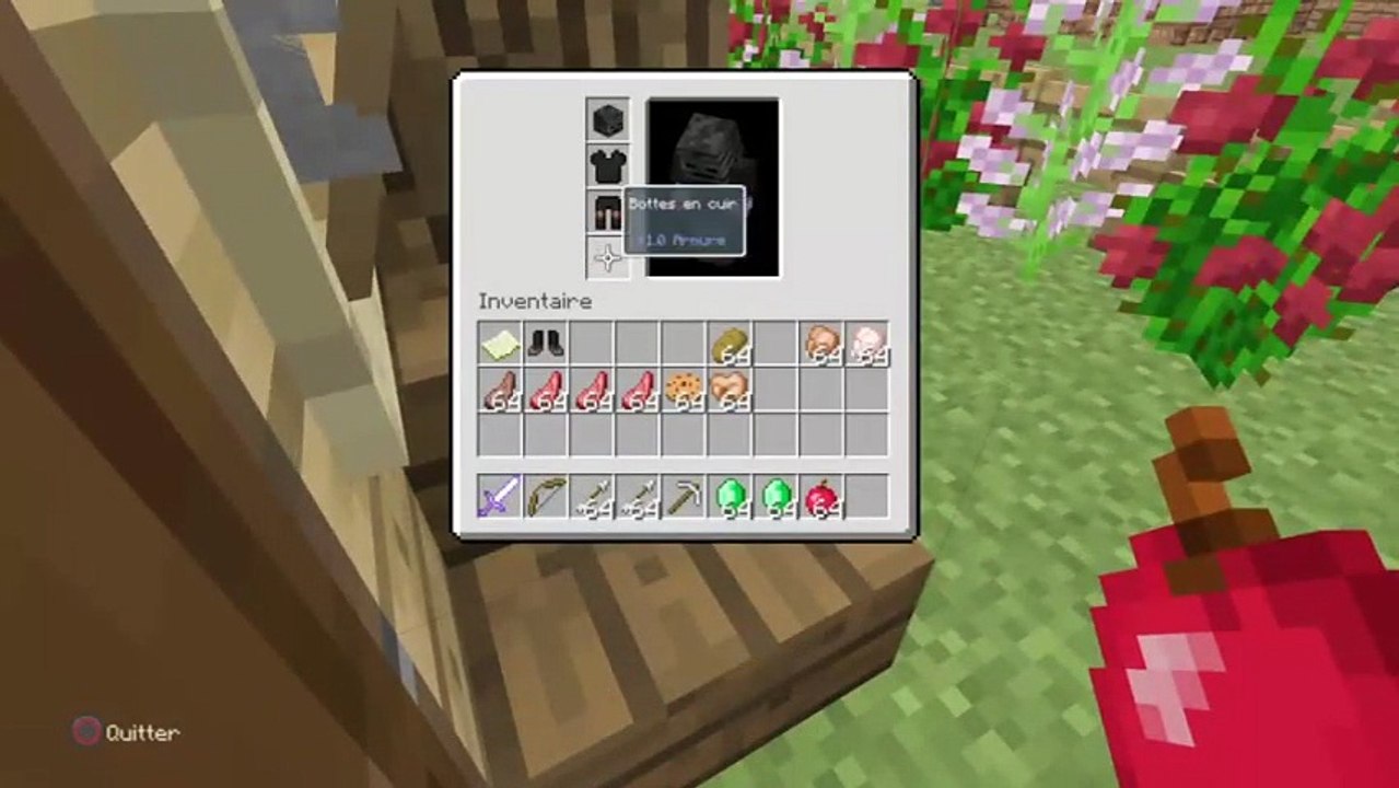 Rp minecraft (253)